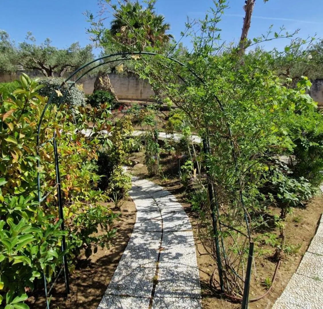Villa Virginia - Relax And Private Pool Paceco 0*,  Italy